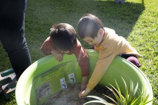 National Tree Day at Springvalley Reserve 2023