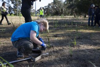 National Tree Day at Springvalley Reserve 2023