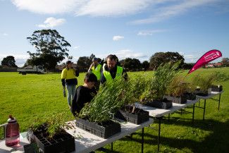 National Tree Day at Springvalley Reserve 2023