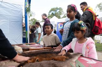 Discover Dandenong Creek Festival 2024