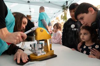 Discover Dandenong Creek Festival 2024