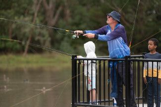 Discover Dandenong Creek Festival 2024
