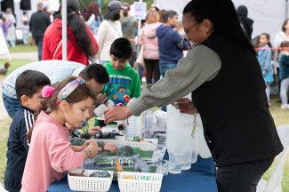 Discover Dandenong Creek Festival 2024