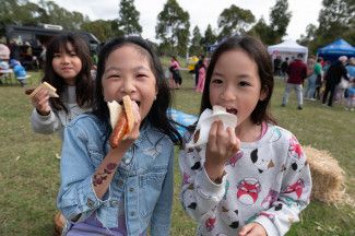 Discover Dandenong Creek Festival 2024