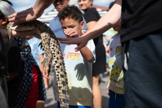 People enjoying the festival.