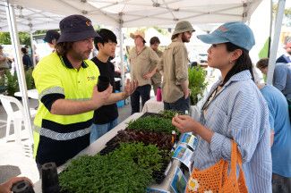 People enjoying the festival.