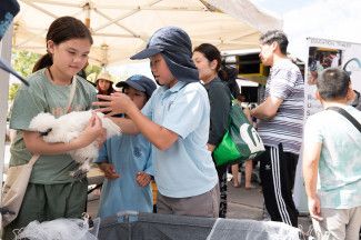 People enjoying the festival.