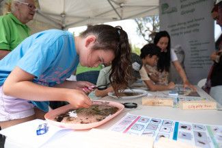 People enjoying the festival.