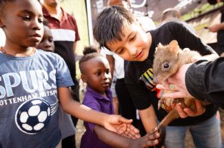 People looking at animals.
