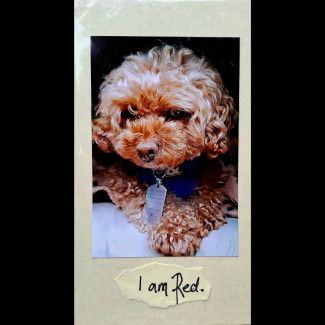 Light at Yarraman Creek - Dandenong West