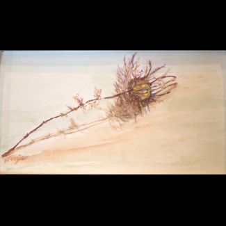 Maria's Granddaughter, photo paper, crochet, textile