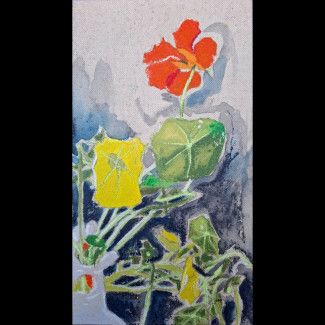 Nasturtiums