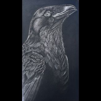 Melbourne from Point Ormond