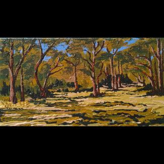 A Clearing in the Aussie Bush