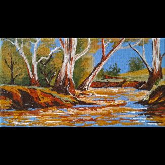 A Creek in the Aussie Bush