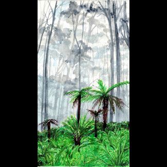 Healesville Misty Morning