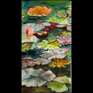 The Lily Pond