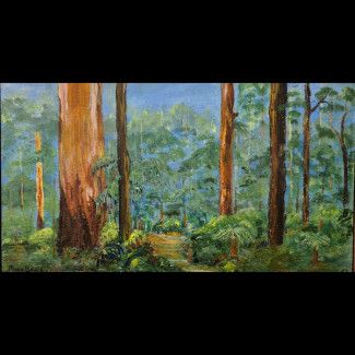 Regent Honeyeaters in Dodoaea