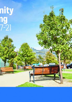 Community Wellbeing Plan Cover