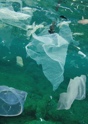 plastic in the ocean