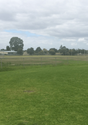 Lyndale Secondary College