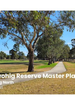 Master plan cover page